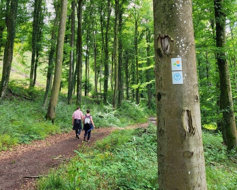 Aktive Möglichkeiten im Müllerthal